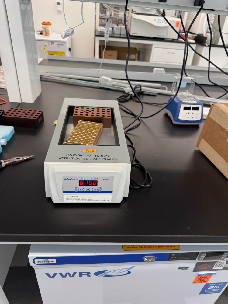 Image of Fisherbrand Isotemp Dry Bath/Block Heater,